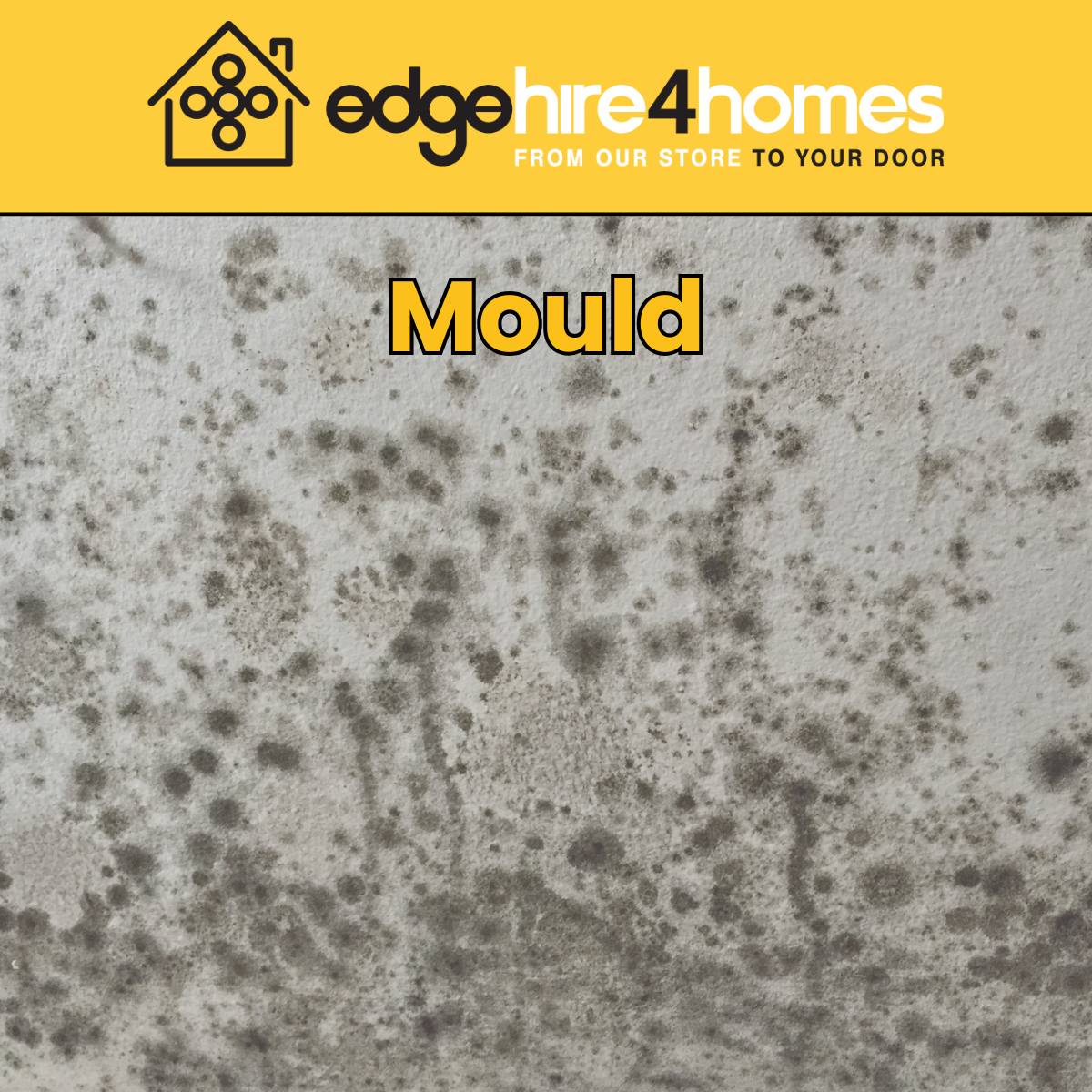 The Hidden Danger of Indoor Mould